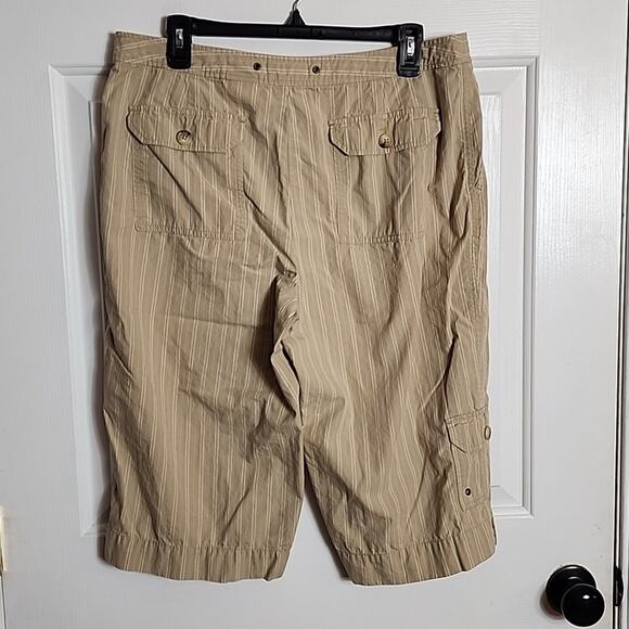 Eddie Bauer Mercer Fit Tan Striped Cotton Shorts, Size 12 - Picture 3 of 5